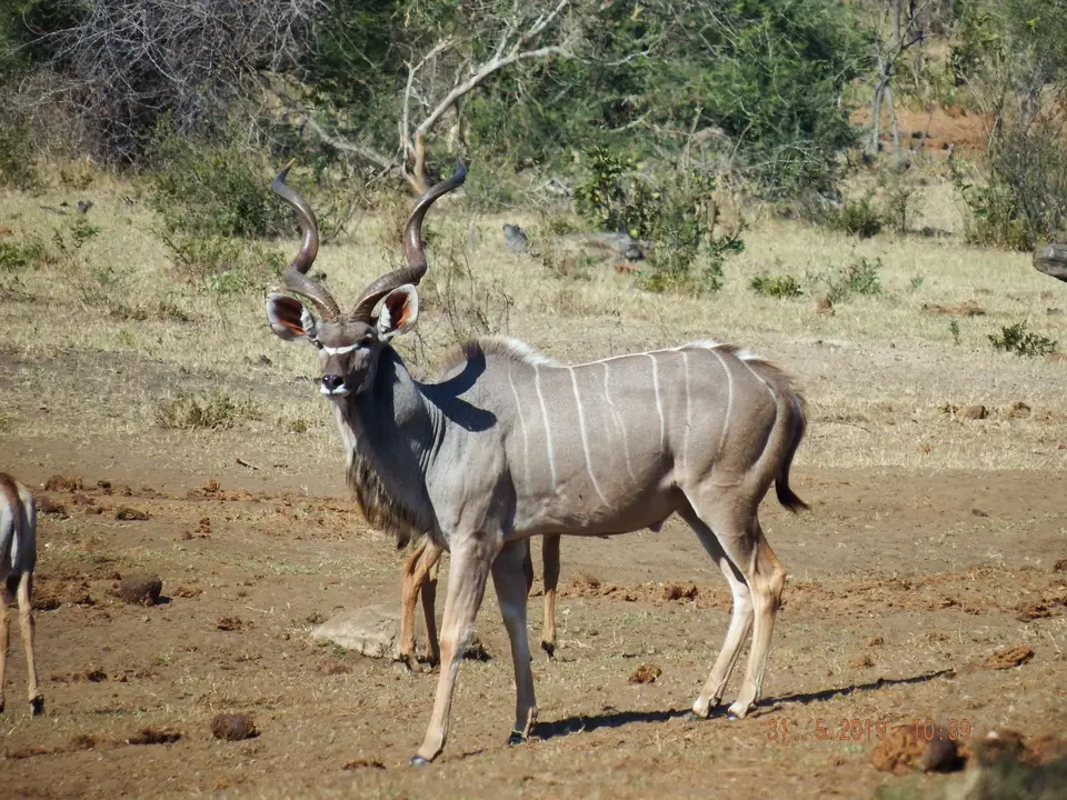 DSCF9139.JPG