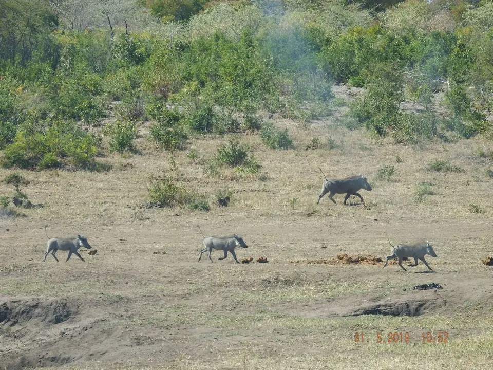 DSCF9140.JPG