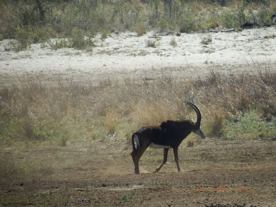 DSCF9178.JPG