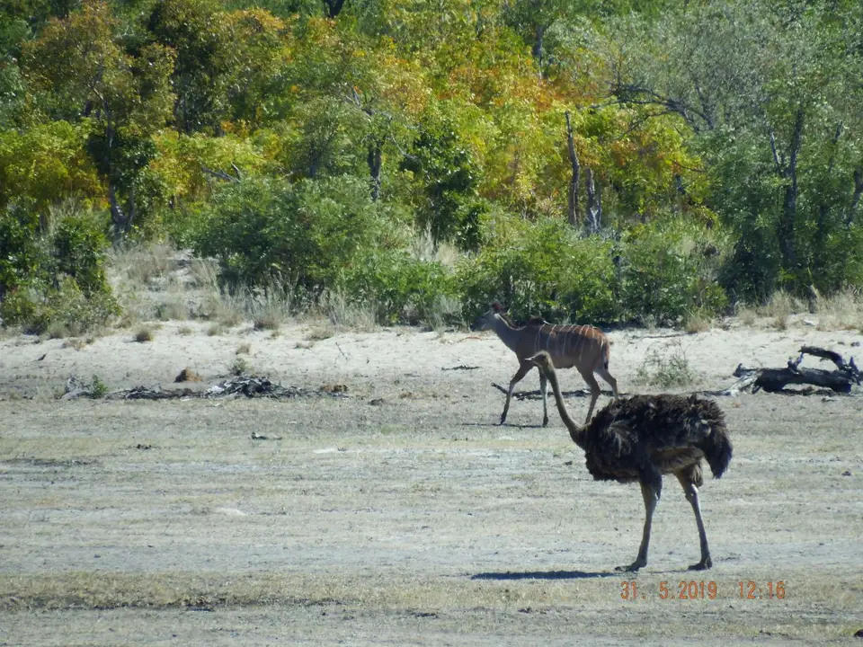 DSCF9179.JPG