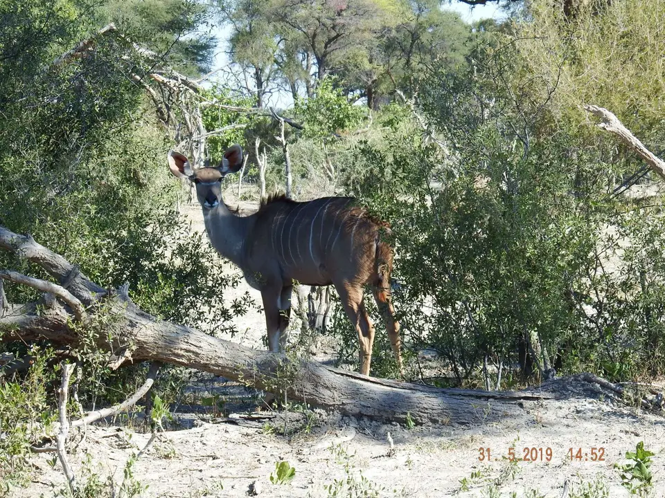 DSCF9192.JPG