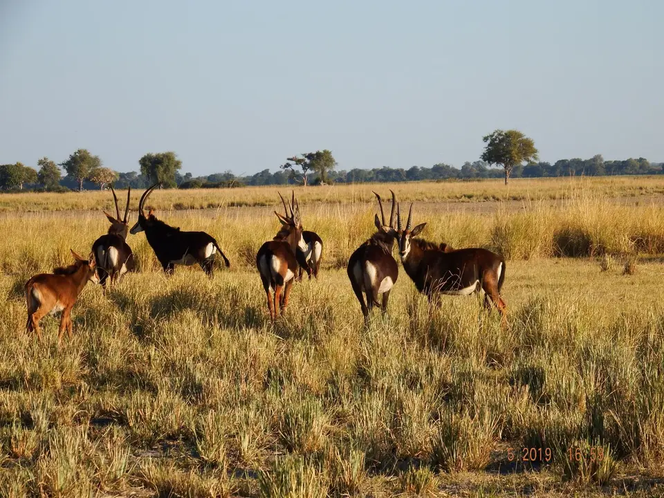 DSCF9289.JPG