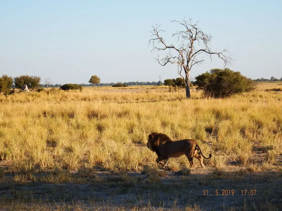DSCF9296.JPG