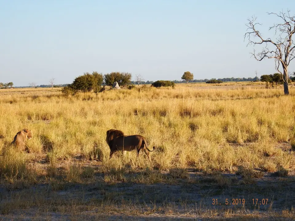 DSCF9298.JPG