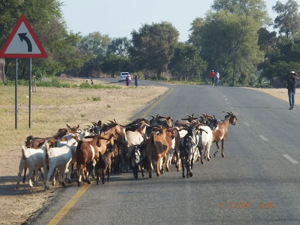 DSCF9349.JPG
