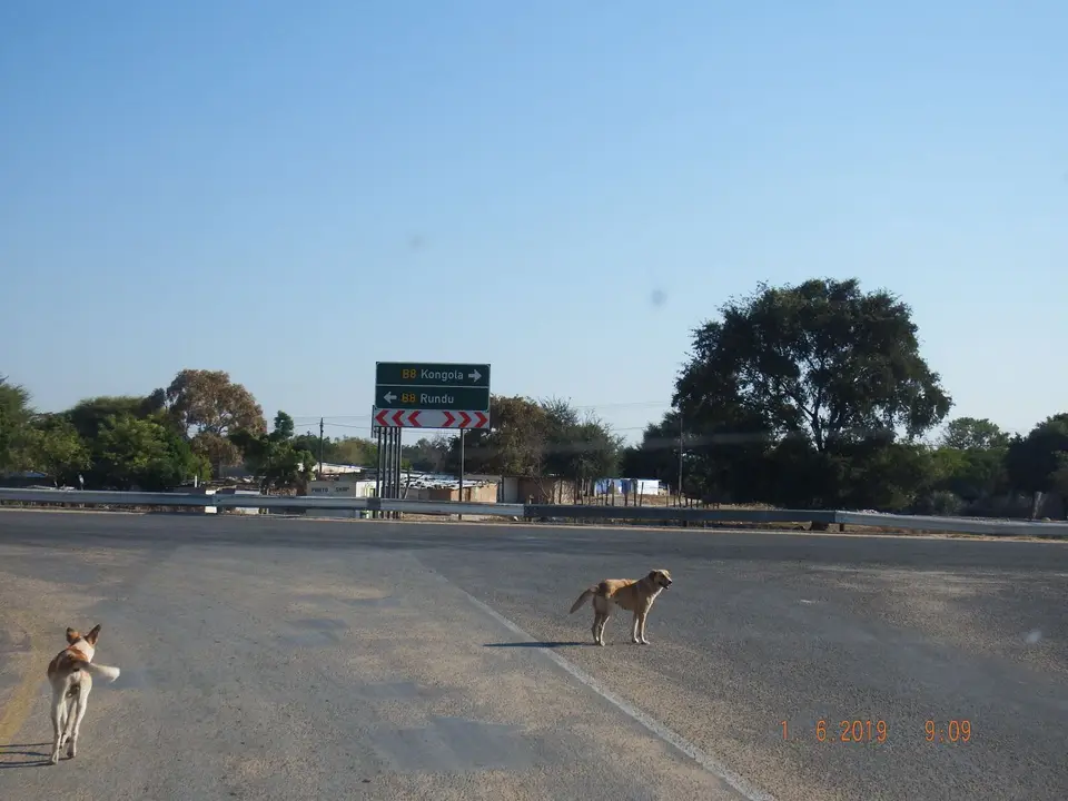 DSCF9355.JPG