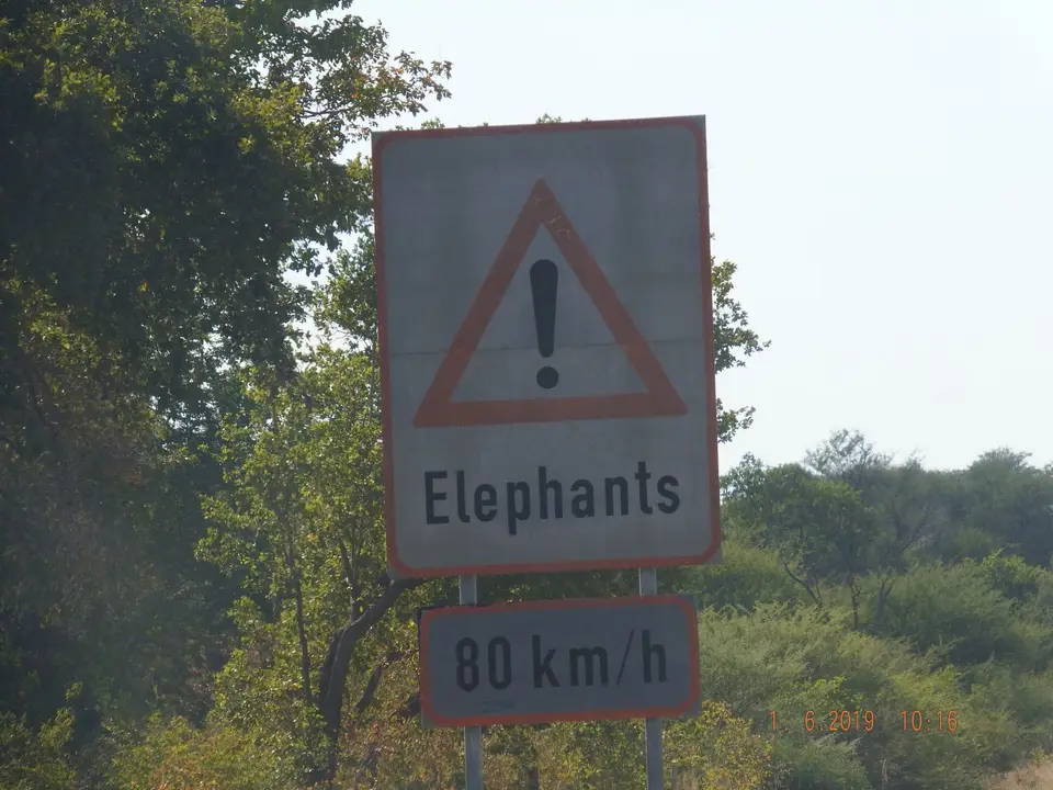 DSCF9364.JPG