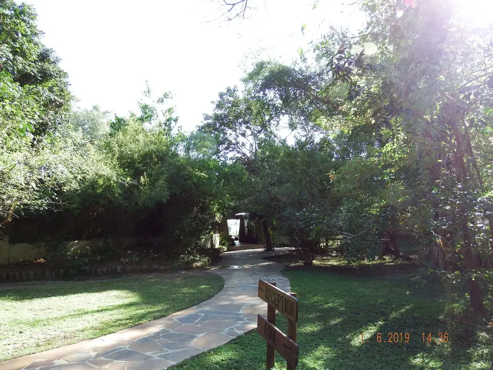 DSCF9381-2.JPG