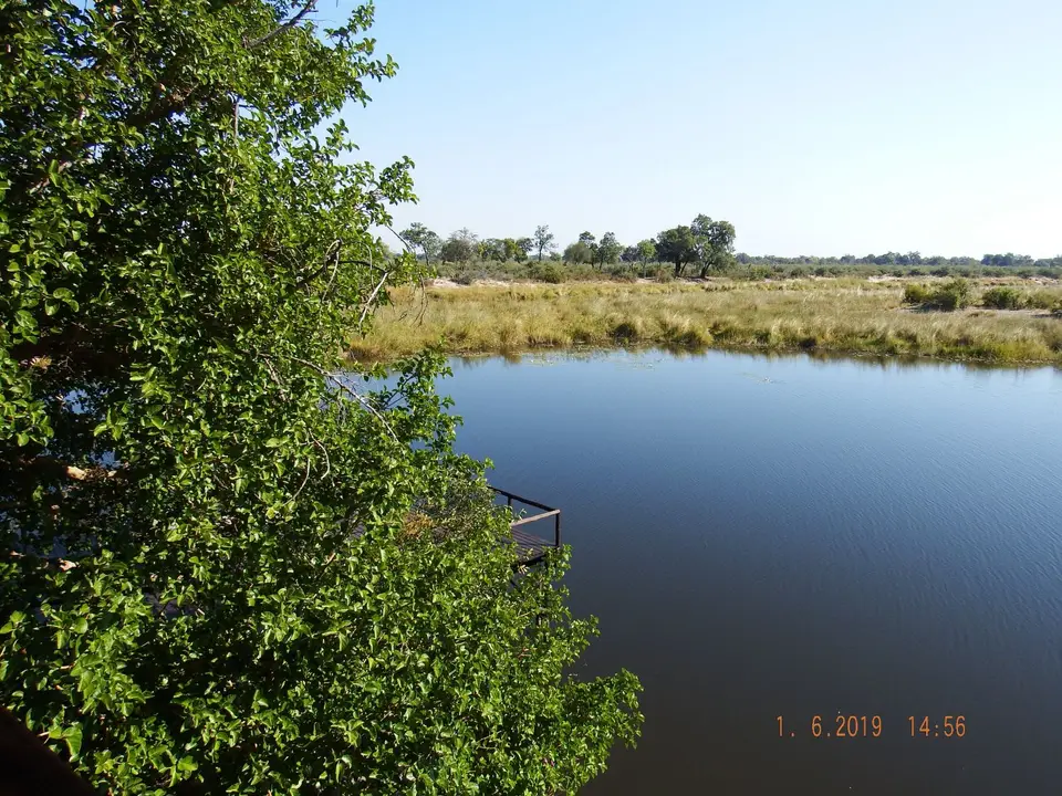 DSCF9395.JPG