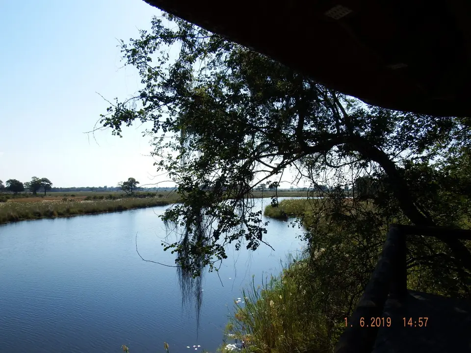 DSCF9396.JPG