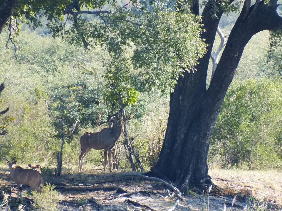 DSCF9399.JPG