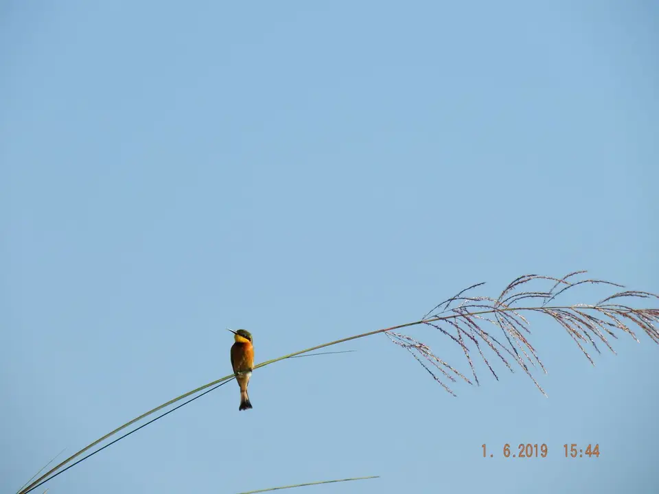 DSCF9416.JPG