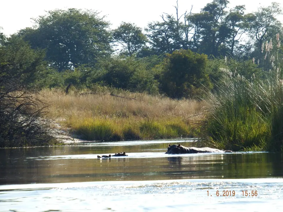 DSCF9423.JPG