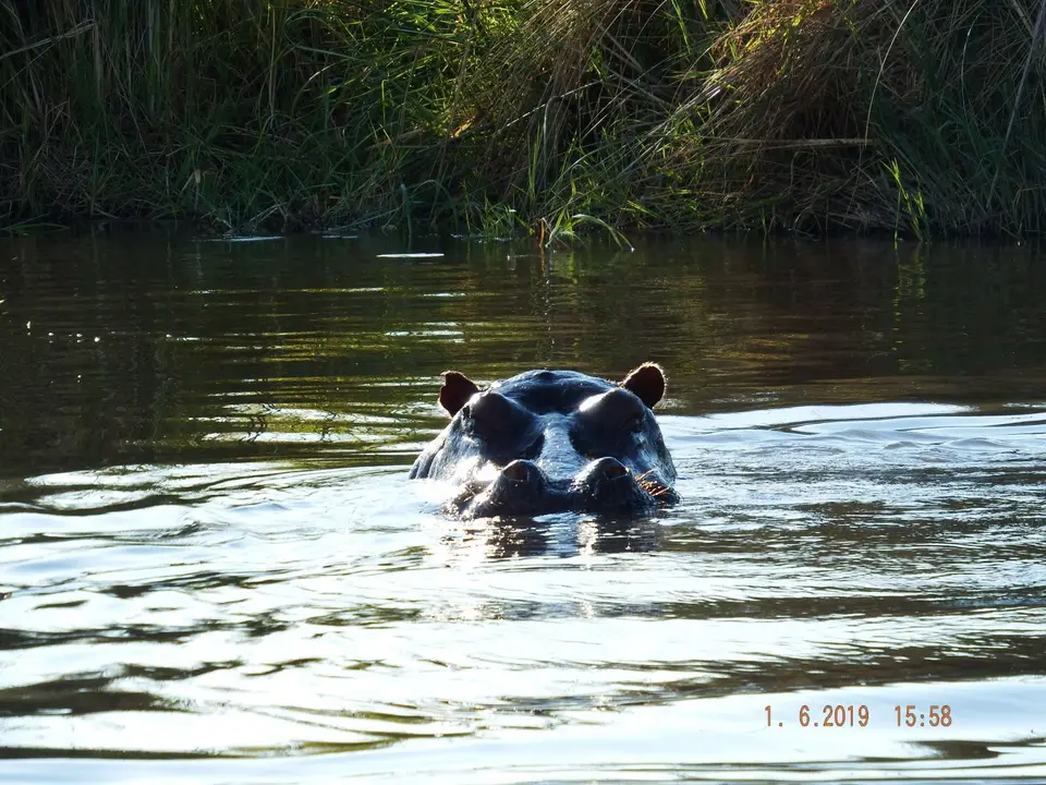 DSCF9435.JPG