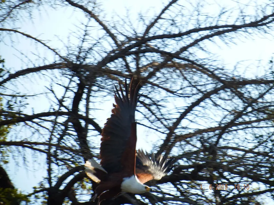 DSCF9449.JPG