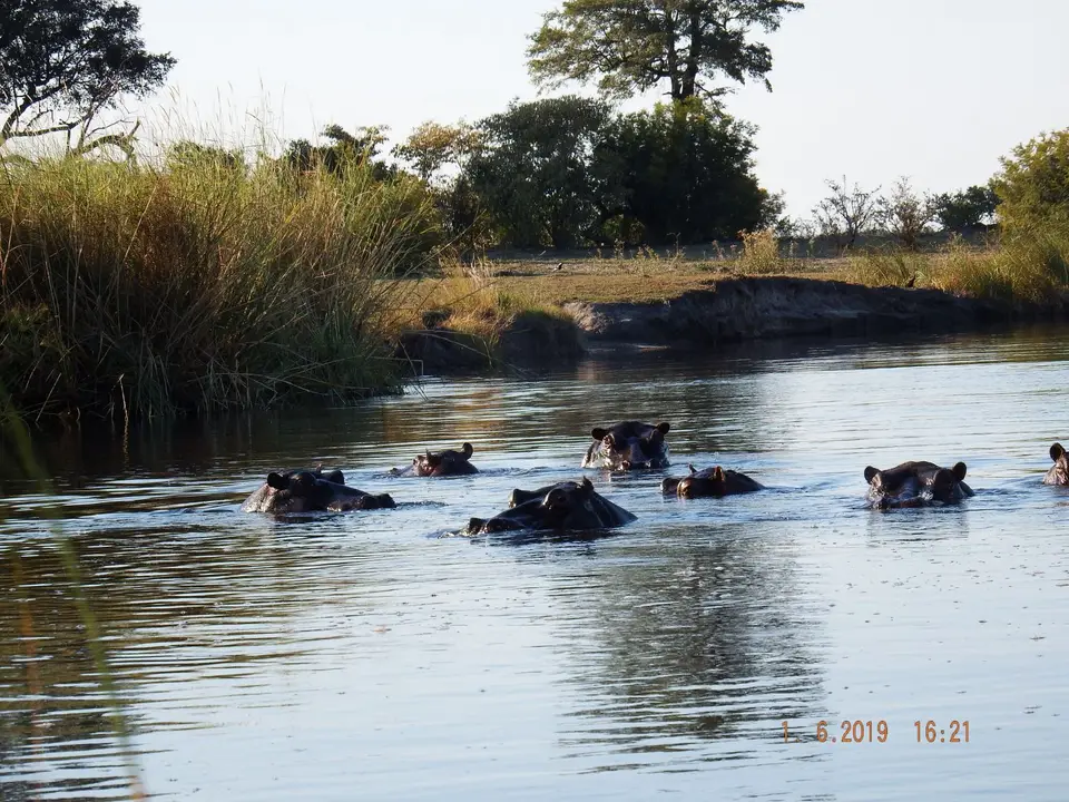 DSCF9455.JPG