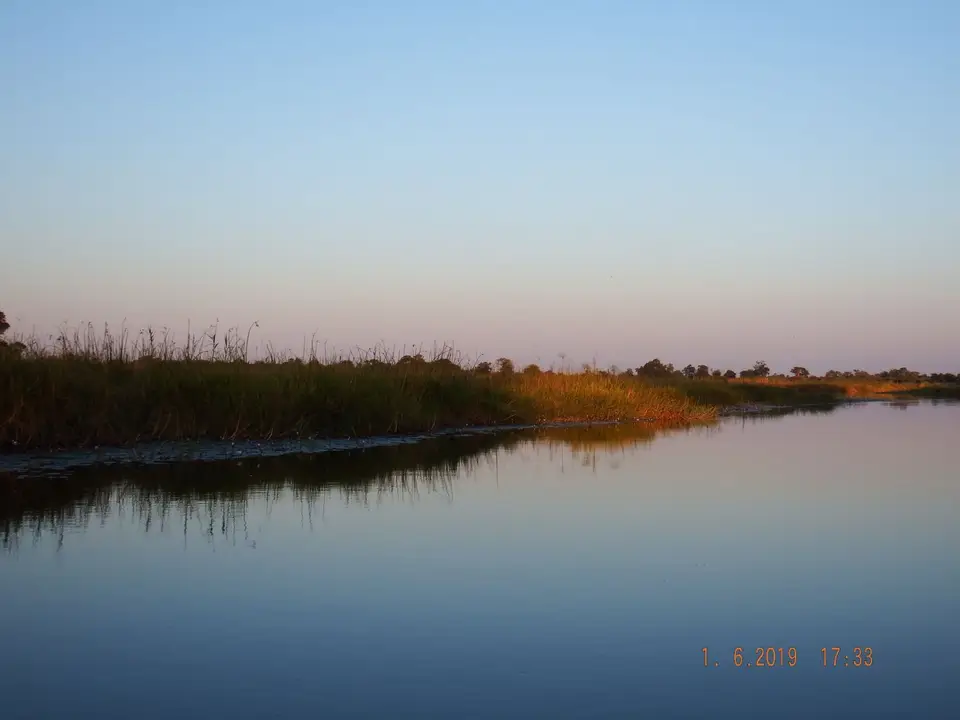 DSCF9513.JPG