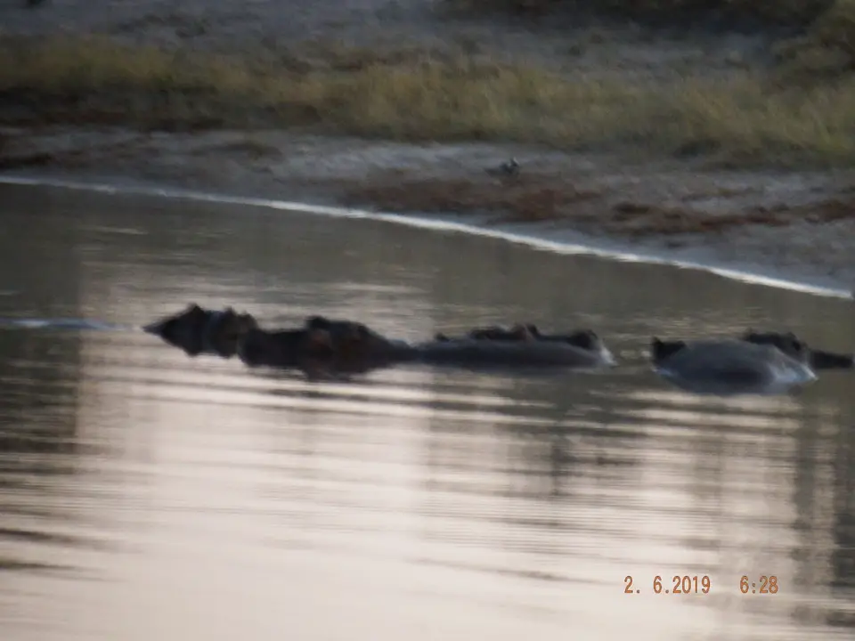 DSCF9537.JPG
