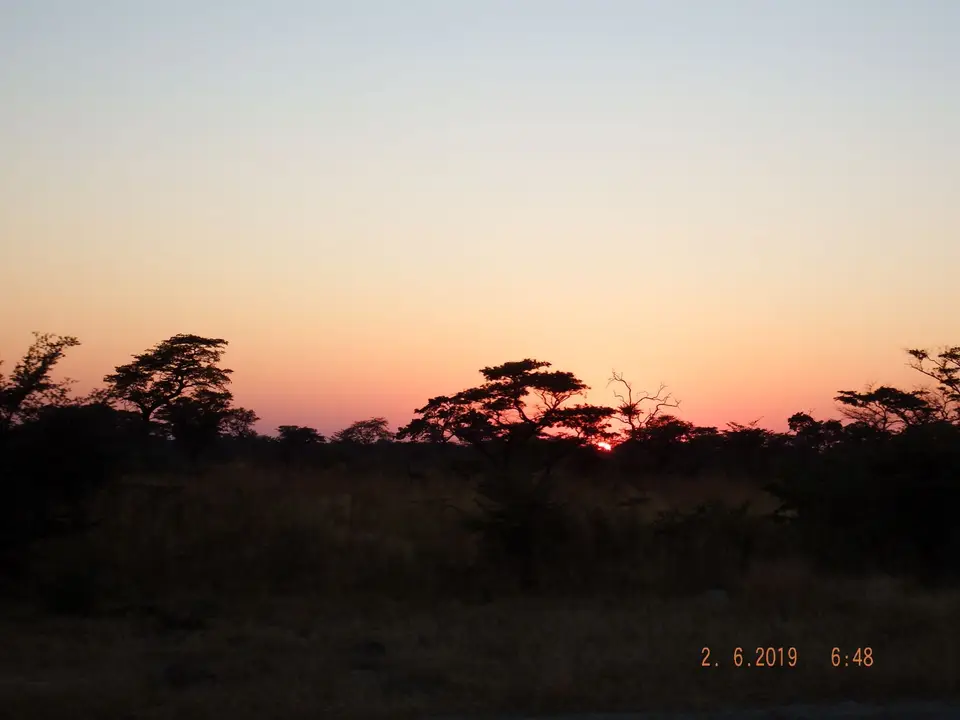 DSCF9542.JPG