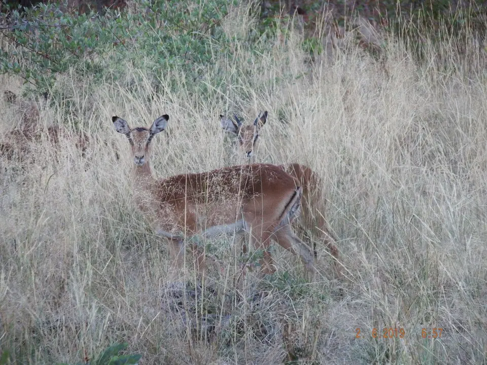 DSCF9552.JPG