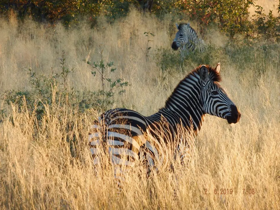 DSCF9565.JPG