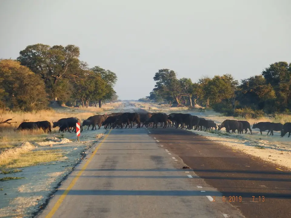 DSCF9571.JPG