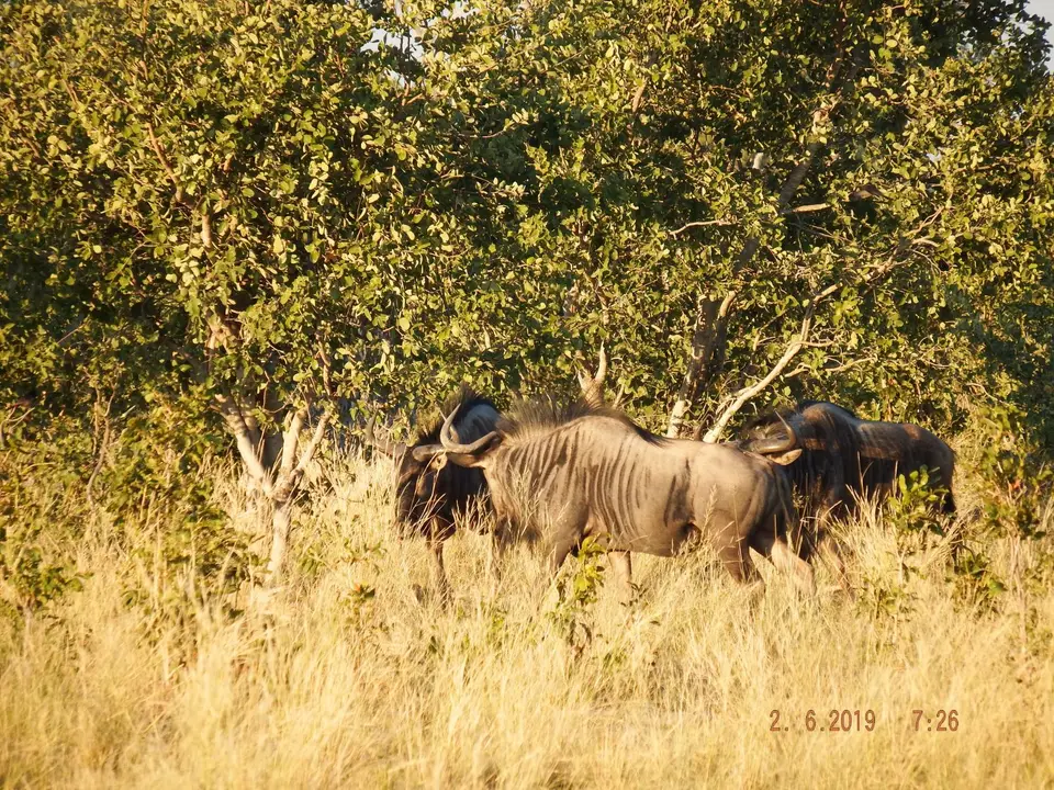 DSCF9592.JPG