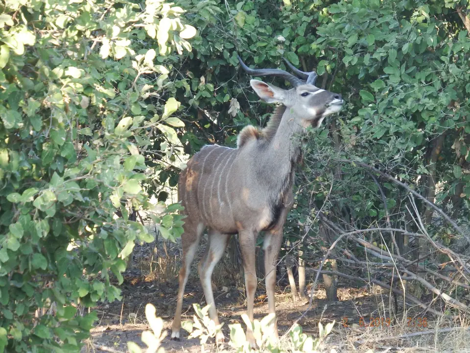 DSCF9606-2.JPG