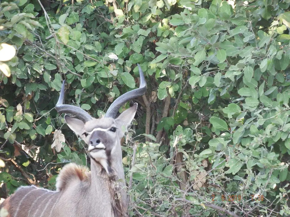 DSCF9608.JPG