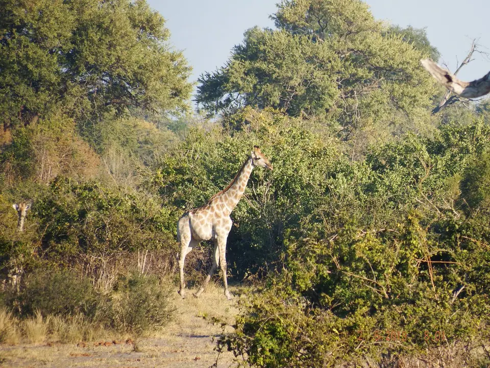 DSCF9622.JPG