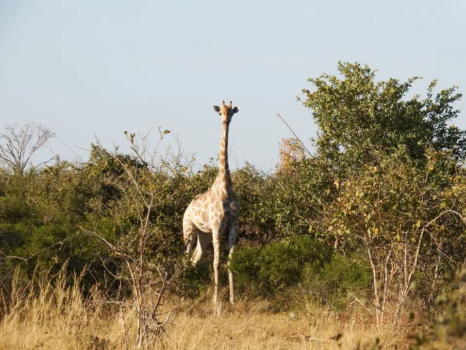 DSCF9626.JPG