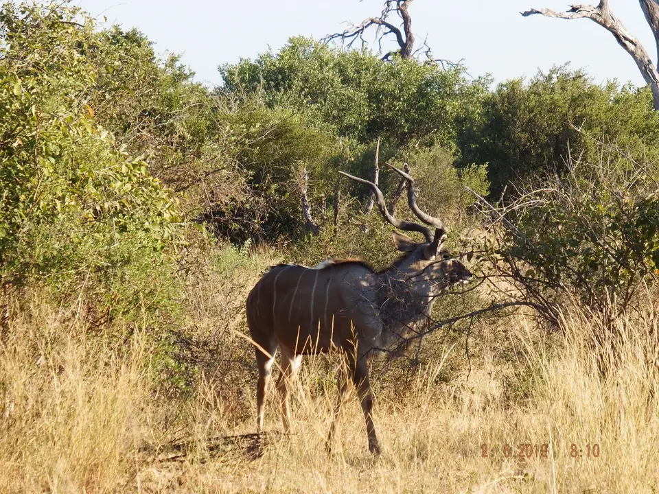 DSCF9628.JPG