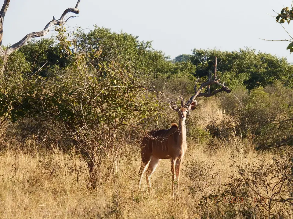 DSCF9629.JPG