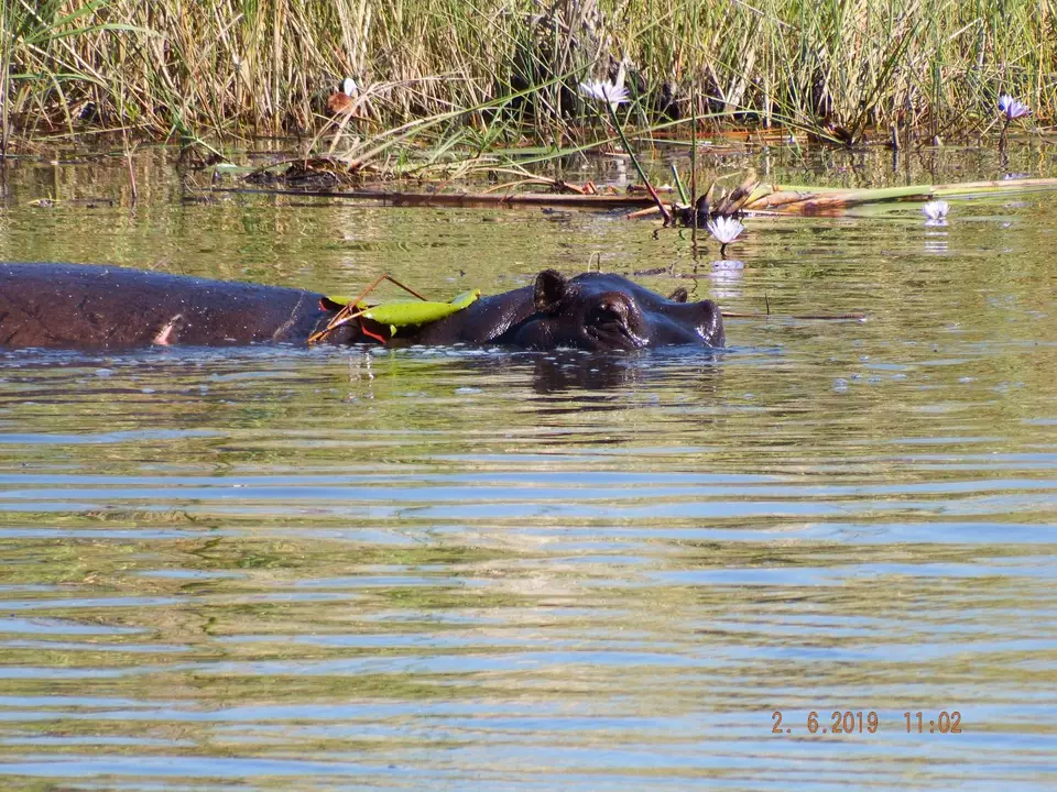 DSCF9661.JPG