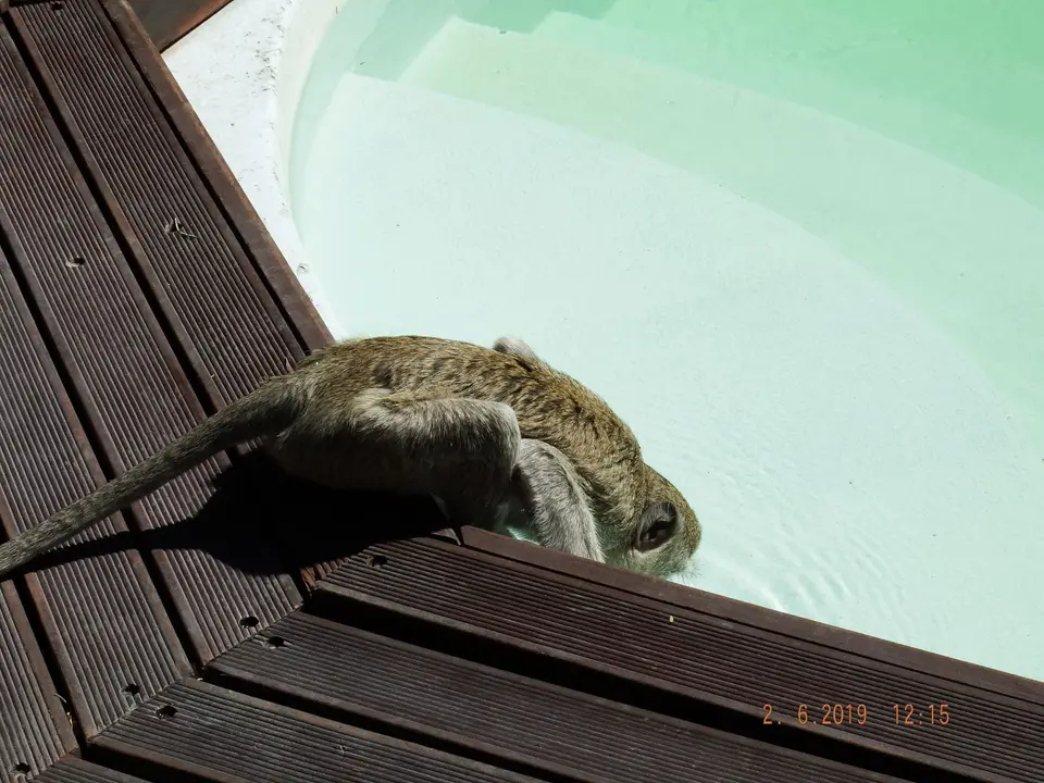 DSCF9683.JPG