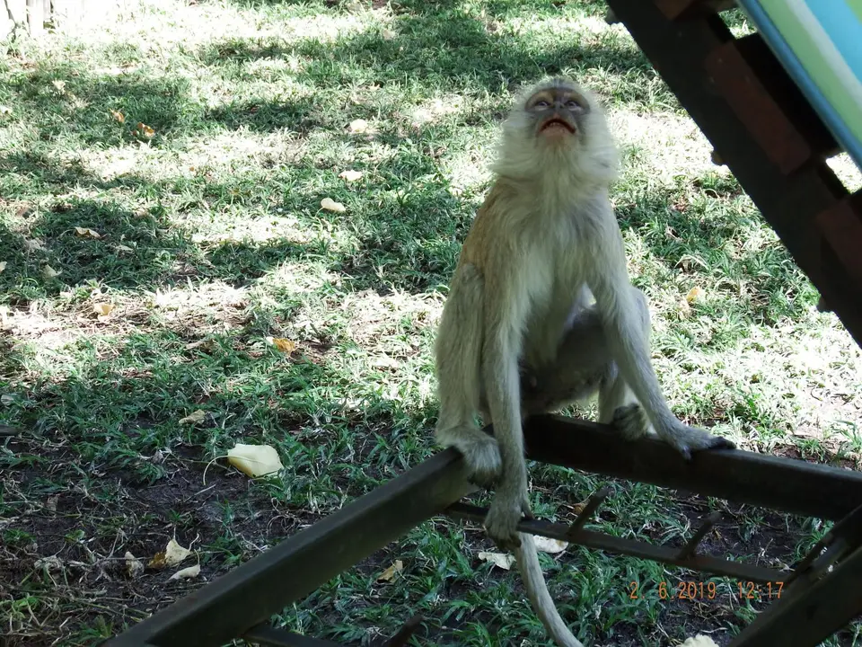 DSCF9693.JPG