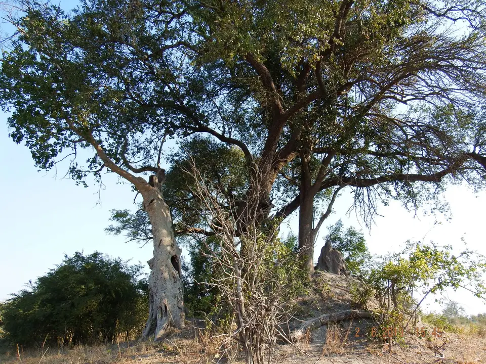 DSCF9712.JPG