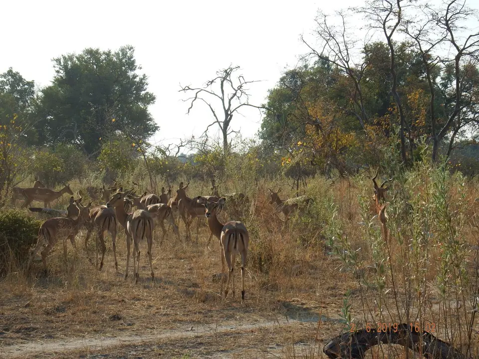 DSCF9721.JPG