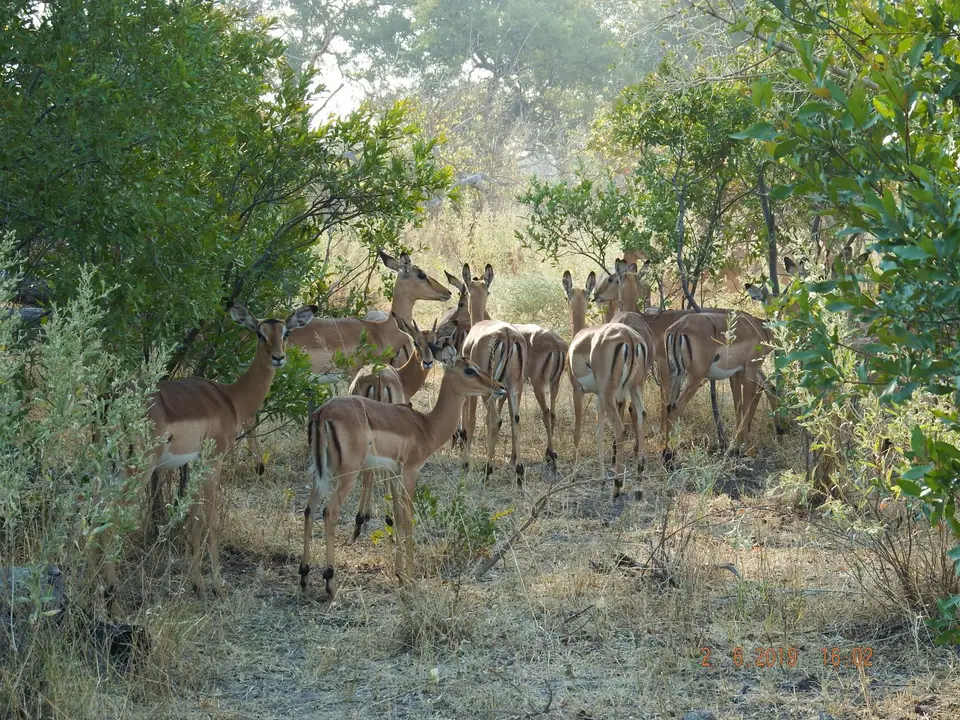 DSCF9723.JPG