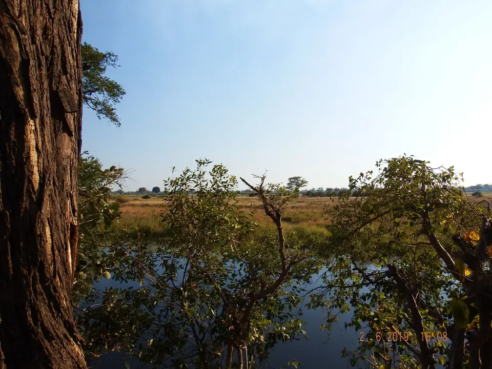 DSCF9728.JPG