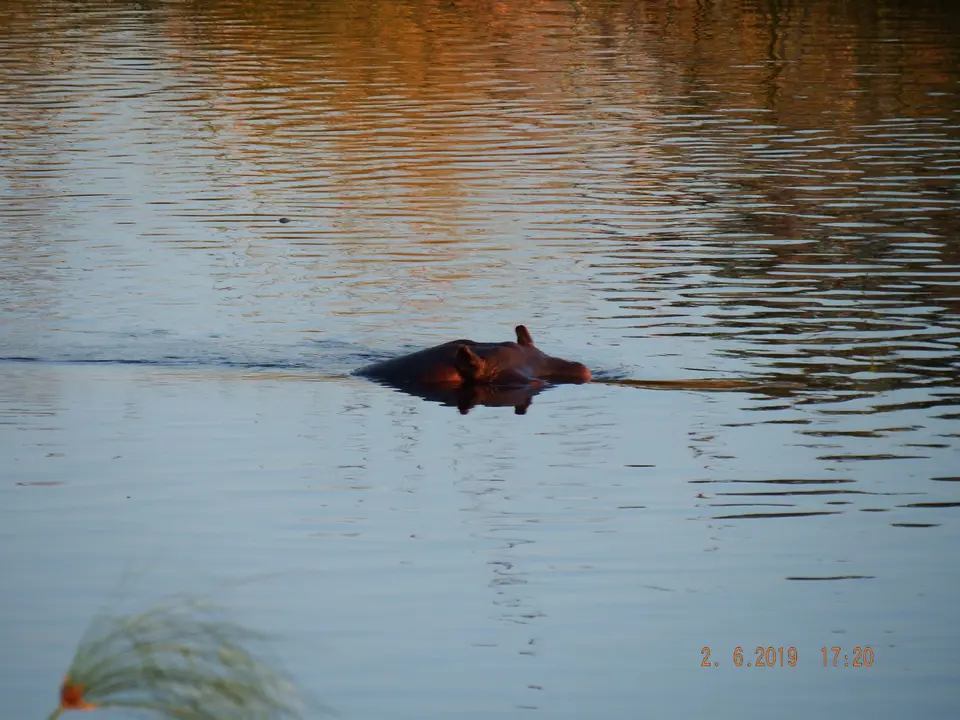 DSCF9738.JPG