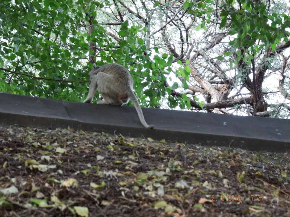 DSCF9740.JPG