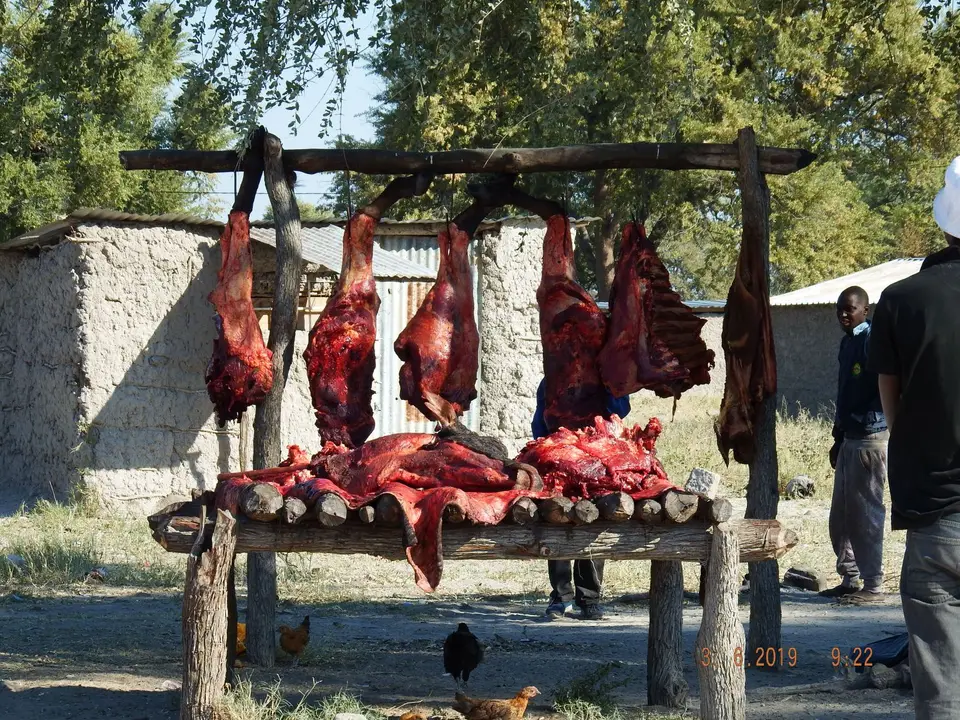 DSCF9758.JPG