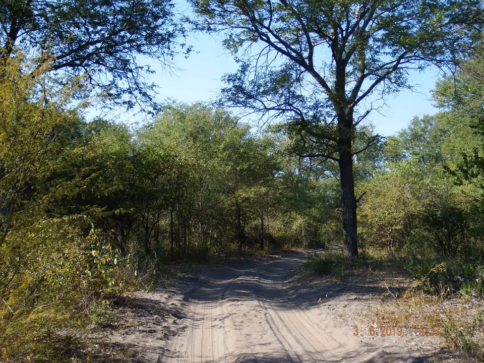 DSCF9769.JPG