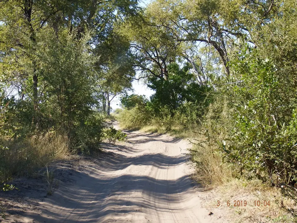 DSCF9786.JPG