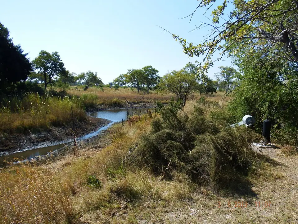 DSCF9808.JPG