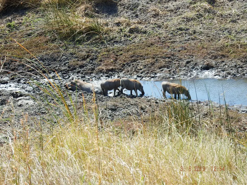 DSCF9818.JPG