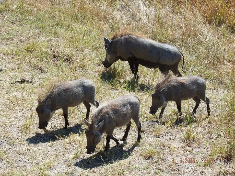 DSCF9821.JPG