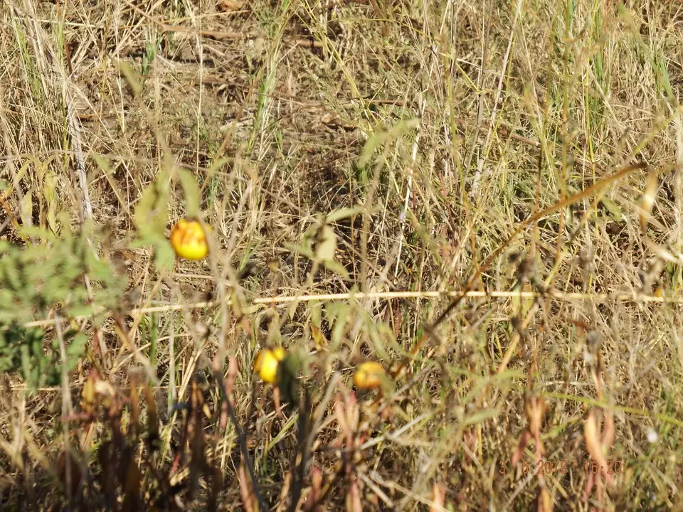 DSCF9838.JPG