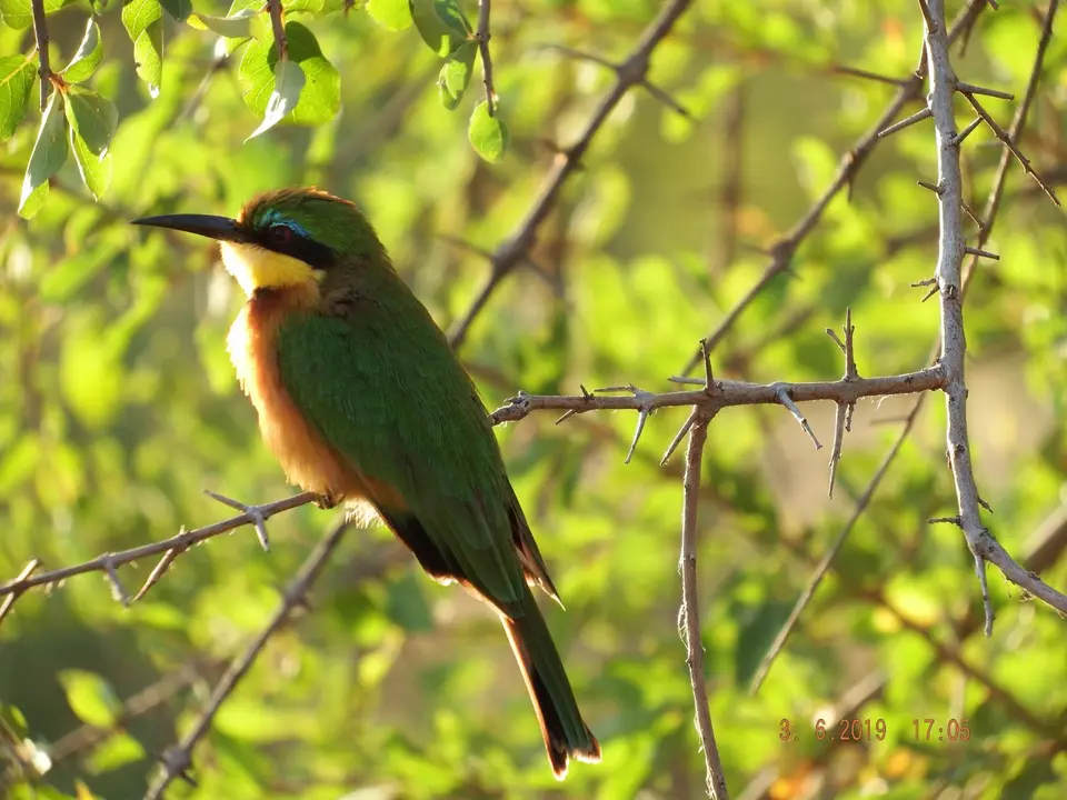 DSCF9852.JPG
